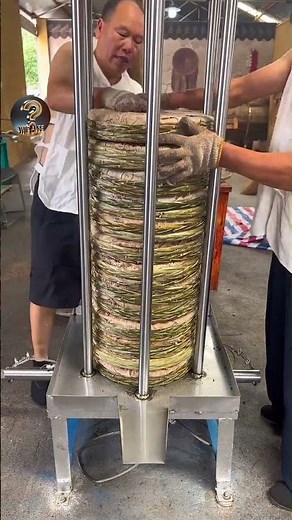 How Real Olive Oil Is Made