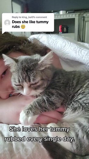 Winkythedwarfcat on TikTok