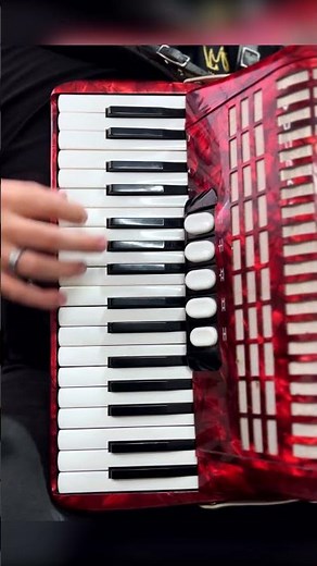 "Una Pagina mas" DEMO en Acordeon de teclas #unapaginamas #acordeondeteclas #acordeon #tutorial
