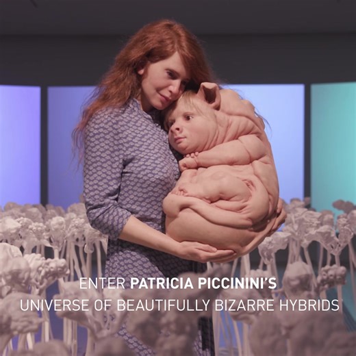Are you ready to step into the strange and wondrous reality of Patricia Piccinini? Come discover her beautifully bizarre hybrid creatures in Patricia Piccinini: We Are Connected at ArtScience Museum. Connect with and marvel at the astonishingly hyperreal creatures at our guided tours, and bring your own hybrid friend to life at our drop-in sessions happening every last Friday of each month. Book your tickets today! | ArtScience Museum