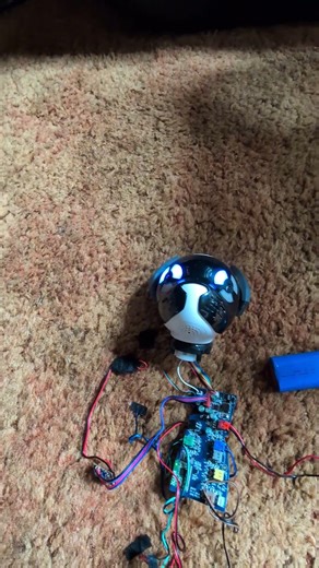 Wowwee Chip Robotic Dog Surgery.