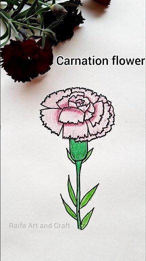 Carnation drawing easy #carnations #shorts