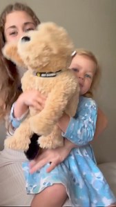 3.2K views · 41 reactions | Shhh... Buddy's sleeping!  Adopt your very own guide dog plushie: https://twoblindbrothers.com/collections/guide-dog-collection | Two Blind Brothers | Facebook