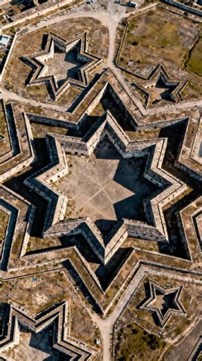 Why Are These Star-Shaped Structures Everywhere?