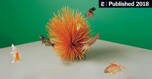 Reviving a Centuries-Old Japanese Confectionery Art