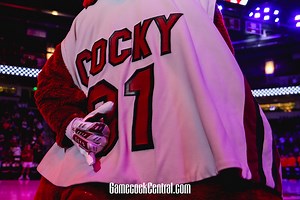 South Carolina women's basketball: Under Armour uniform history