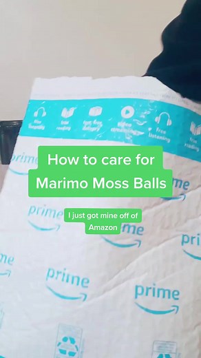 Alicia Smith on TikTok