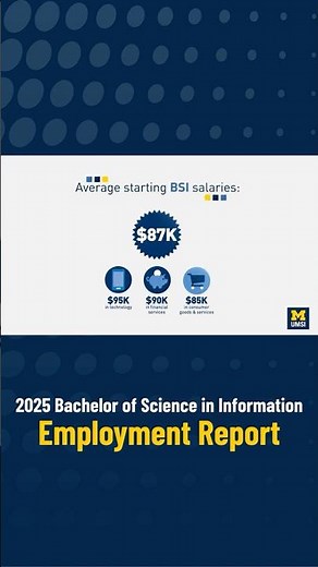 What are the results of a BSI degree? 📈