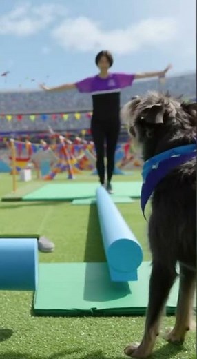 Dogs Coach as Humans Run Obstacles!