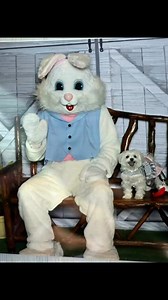 Easter Bunny? Hopped on that.Photoshoot with Mr. Brad? Total pawfection.Treats, twirls, and model moves?You know I brought the sass.Catch this cuteness in action—because these paws were made for posing!Lil Hopey B™© 2025 Lil Hopey B Marshmellow Baby’s Legacy Page Hopey B Marshmellow Baby's Paws for Help Foundation Inc. Marshmellow Baby’s Yummy in Your Tummy Recipes Adventures of Hopey B | Hopey B