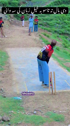 Understanding Cricket Ball Terminology