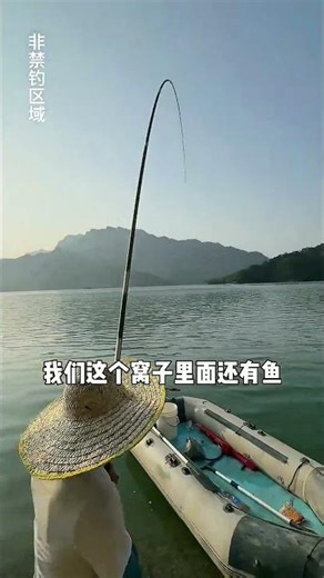 Catching a 100lb Black Carp in the Mountain Reservoir