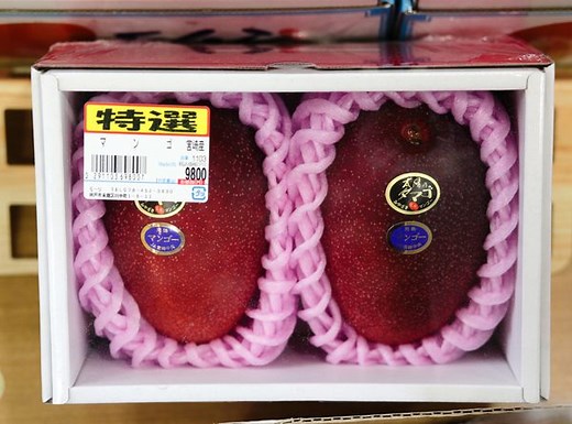 These Mangoes Can Cost Up to $1,900 Each