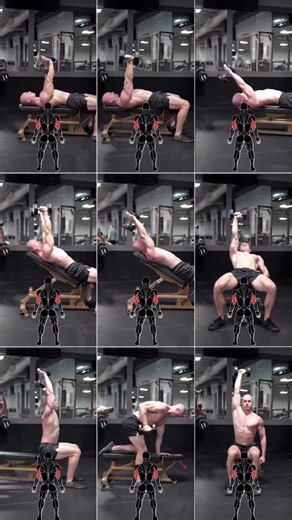 Alex Lueth | #1 Natural Online Coach on Instagram: "Triceps exercises! Here are some dumbbell (DB) triceps exercises you can add to your routine. 1) Single DB close grip bench press 2) Close grip DB bench press 3) Lying dumbbell triceps extensions (aka skull crushers) [pullover technique] 4) Incline bilateral DB overhead triceps extension 5) Incline DB overhead triceps extension 6) Incline unilateral cross body triceps extension 7) Seated DB overhead triceps extension 8) DB triceps kick back 9) 