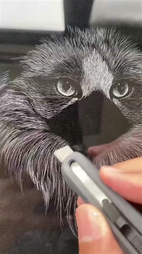 Line-Shadow Pet Portrait: Creating a Ragdoll Cat with a Knife #art #drawing