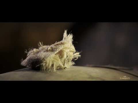 Sir Edward’s values