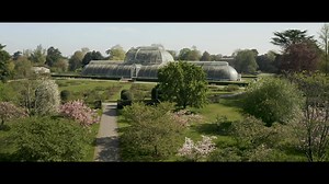 21K views · 1.2K reactions | : Have you ever wondered what the birds see as they fly around the Gardens? Take a stroll through Kew with a slightly different view  | Kew Gardens | Facebook