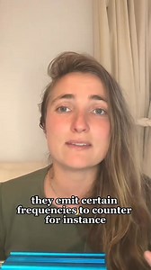 36K views · 336 reactions | Discover the world of frequency healing...