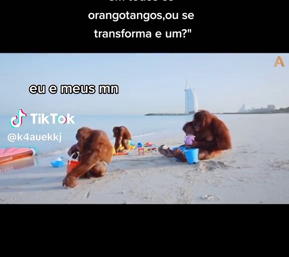 Orangutan Mating Behavior Explained | Cria de Utan