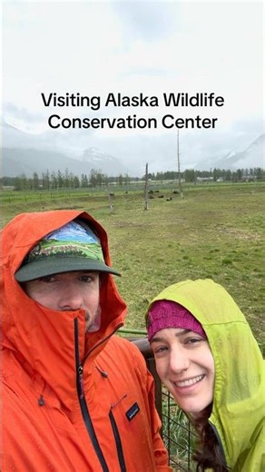 Our day at the Alaska Wildlife Conservation Center! #AlaskaWildlife #wildlifeconservation