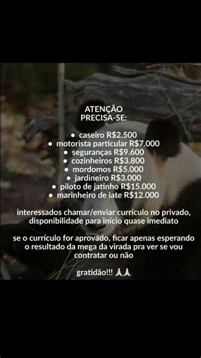 não fique triste, clica na bio do canal e Comece sua jornada na internet #dinheiroonline #2026