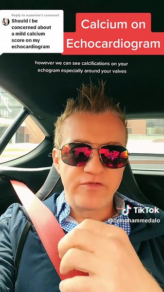 Understanding Mildly Elevated Calcium Scores on Echocardiograms