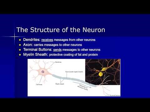 PSY 101 Chapter 2 Video Lecture