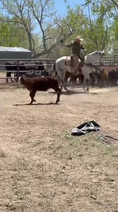 Dragging! | Whitaker Brothers Hunting Company