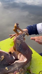 This is what reality looks like… #reels #explore #comedy Video cred: @marvinadoptante | Devin Robinson