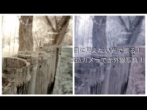 【番外編】赤外線写真で風景撮影！