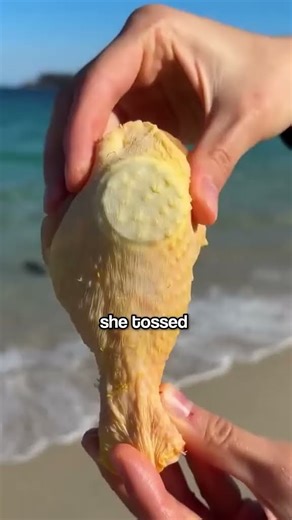 😱 You won’t believe how far it went!😲#facts #story #predator #experiment