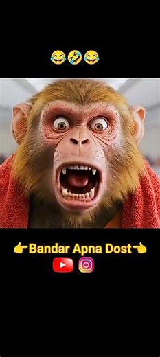 do'nt understement holke.