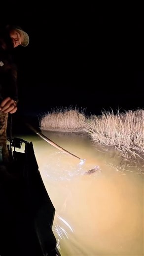 BBB customs Fishing | Have you been searching for an amazing date night idea? Then I would highly recommend taking your significant other on a gigging trip. My... | Instagram