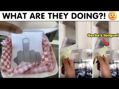 Insanely Funny People Who Don’t Act Normal 🤪