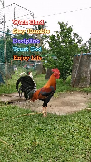 27K views · 1.4K reactions |  #labiskungmagmahal #muntingmanukan #bañesnevergiveup #reelsfbシ #reelsfb #fypシ゚ #2025goals | Labis kung Magmahal | Facebook