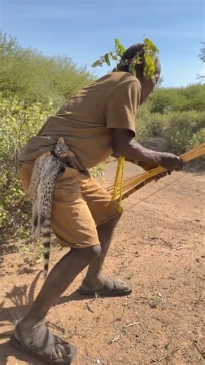 Silent Steps, Guaranteed Prey! #wildlife #shorts