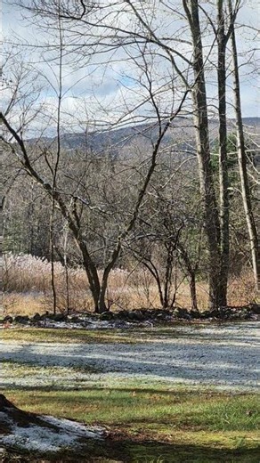 Why Wallingford Vermont is the Snowiest Place on Earth???? 11/15/25