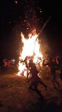 #bihari holo reality 😅😅✨