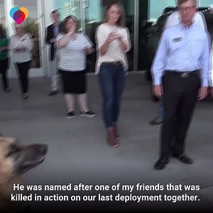 1.8M views · 1.8K reactions | MILITARY REUNION: This Marine just adopted his former military dog, who was named after a friend who was killed in action ❤️️ https://cbsn.ws/2Qp3jkl | The Uplift | Facebook