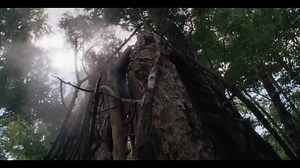 34K views · 2.9K reactions | Headbangers, this is your chance! ⏰ Many camping types are sold out, but there are plenty of excellent lodging experiences left:  GA Car Camping  Tent-Only Forest Camping  Convenient Hotels and Shuttles Don't miss Lost Lands' 5th prehistoric adventure this summer! Assemble the squad and get your tickets now:  www.lostlandsfestival.com  | Lost Lands Music Festival | Facebook