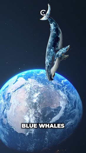 What is gravity? | Cosmoknowledge