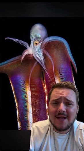 Sperm Whale - Physeter macrocephalus. #greenscreen #fact #ocean #animals #didyouknow