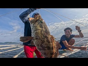 Exploring breathtaking coral reefs 🌊
