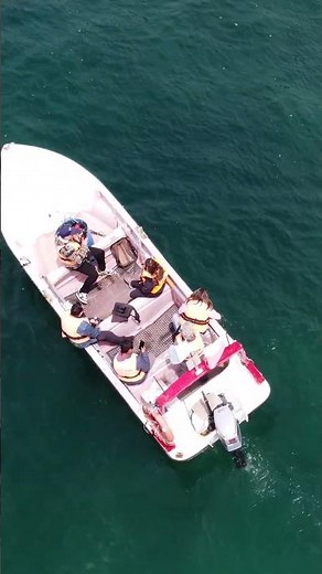 Tour Full Day Zapallar & Papudo: Pingüinos de Humboldt y cabalgata junto al Pacífico chileno