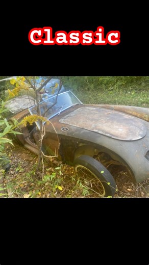 MG A British roasted #automobile #classic #car #cars #carlover #auto #mechanic #vintage