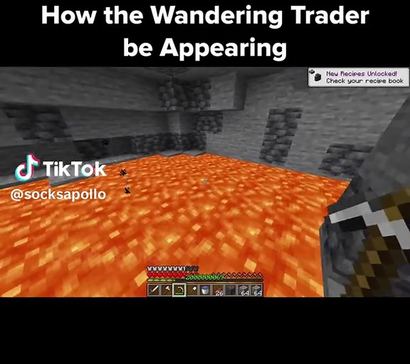 SocksApollo on TikTok