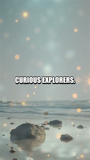 Moonlit Tides: The Lunar Dance That Shapes Our Shore