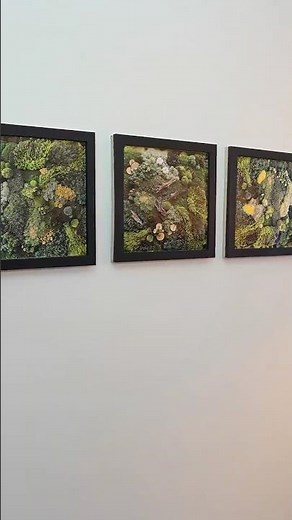 I UV printed a moss forest, and it lives on my wall 🌿 #homedecor #mossart #diy