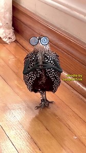 57K views · 3.2K reactions | ‍♂️ OMG! I HAVE HANDS! ‍♀️ Birds are...