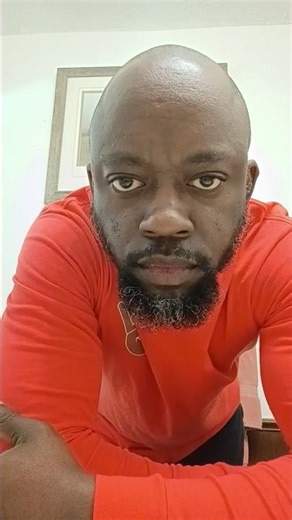 introducing my new pets